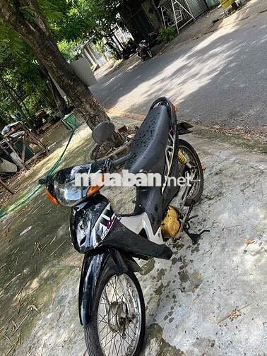 bán quay 50 cc ko bằng lái