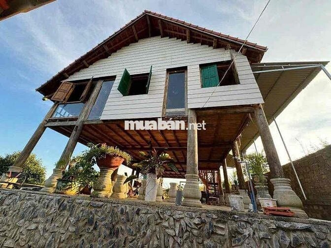 Homestay nhà gỗ ngay trung tâm P. Lộc Sơn Bảo Lộc DT: 520m2 - TC 270m