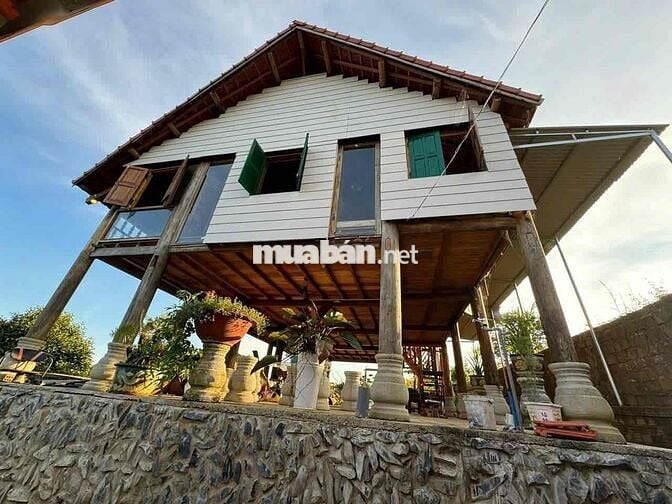Homestay nhà gỗ ngay trung tâm P. Lộc Sơn Bảo Lộc DT: 520m2 - TC 270m