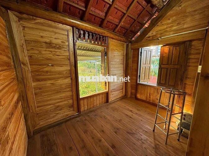 Homestay nhà gỗ ngay trung tâm P. Lộc Sơn Bảo Lộc DT: 520m2 - TC 270m