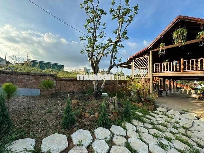 Homestay nhà gỗ ngay trung tâm P. Lộc Sơn Bảo Lộc DT: 520m2 - TC 270m