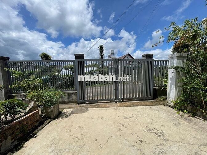 Nhà hoàn công mặt tiền hẻm Phan Chu Trinh Bảo Lộc view đẹp chỉ 4.7 tỷ