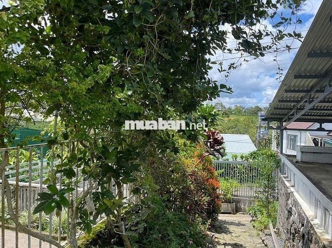 Nhà hoàn công mặt tiền hẻm Phan Chu Trinh Bảo Lộc view đẹp chỉ 4.7 tỷ