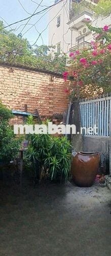 bán đất tặng nhà ngang 6m, phù hợp xây CHDV