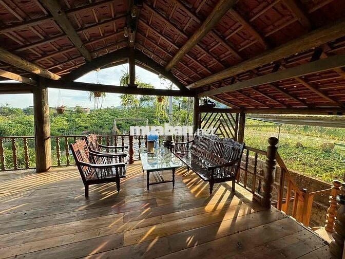 Homestay nhà gỗ ngay trung tâm P. Lộc Sơn Bảo Lộc DT: 520m2 - TC 270m