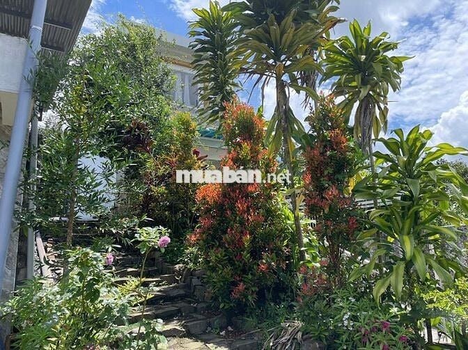 Nhà hoàn công mặt tiền hẻm Phan Chu Trinh Bảo Lộc view đẹp chỉ 4.7 tỷ
