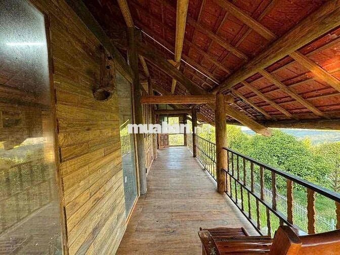 Homestay nhà gỗ ngay trung tâm P. Lộc Sơn Bảo Lộc DT: 520m2 - TC 270m