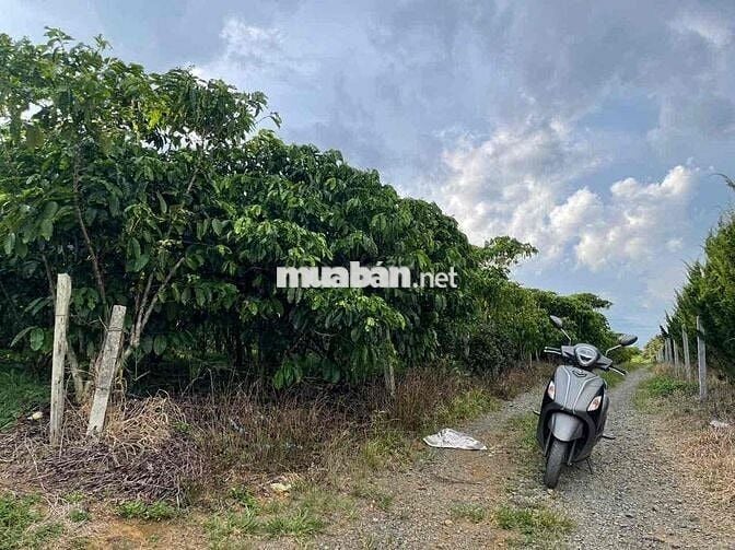 View hồ Mai Thành DT 1260m2 (21x58m) đất 2 mặt tiền đường , QHTC