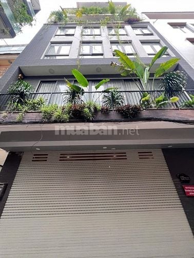 Bán nhà ngõ 19 phố Trần Quang Diệu, 70m2, 7 T, MT 6m, mặt ngõ ô tô, KD