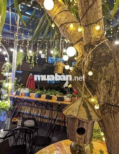 CHO THUÊ BIỆT GÓC MỸ THÁI, PMH 9,25x18m TRỆT 2 Lầu 55 TRIỆU