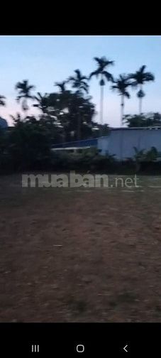 Cắt bán 1000m ngay cổng Serena Kim Bôi Hòa BÌnh, giá rẻ thương lượng 