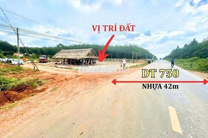 Đất nền 100m2 Long Hòa, Dầu Tiếng. Sổ sẵn, công chứng ngay