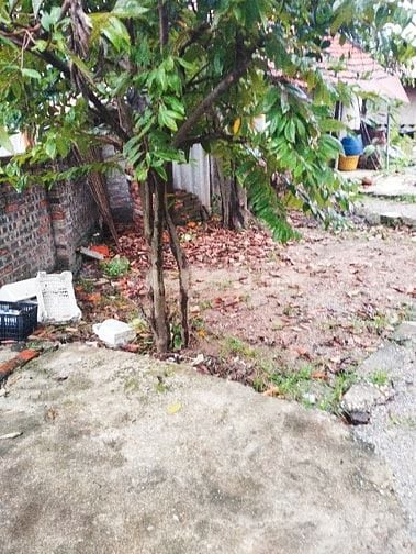 42.3m đất siêu quần xã tả thanh oai cũ 3.55 tỷ ngõ to 42.3m đất siêu quần xã tả thanh oai cũ 3.55 tỷ ngõ to