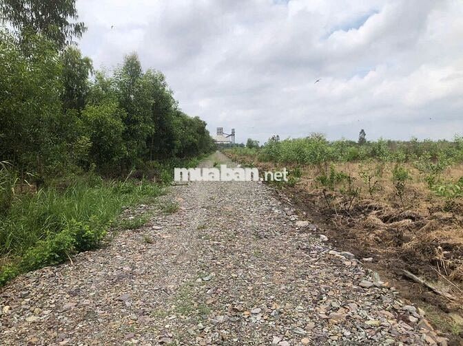 BÁN ĐẤT ĐẸP 1.993m² – MẶT TIỀN 68M – XÃ PHƯỚC KHÁNH, NHƠN TRẠCH ,ĐN.