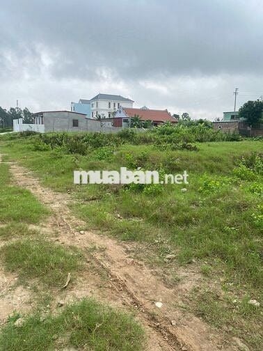 Bán 150m2 đất , mặt tiền 5m, đường 8m Mạc Phúc Tư, Dương Kinh