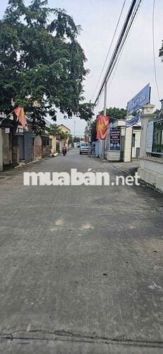 🎯 🎯Hoa Hậu 56m2 Ninh Cầm, Tân Dân, Đường Trục 6m - Thông ô Tô