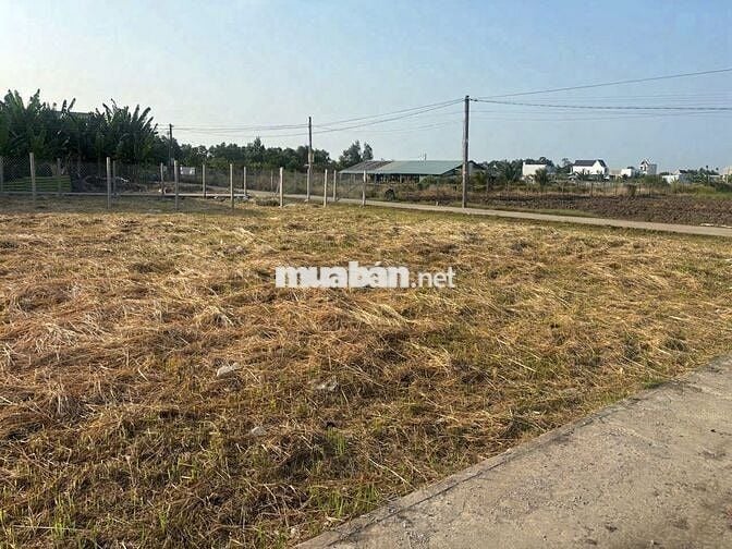 Cách QL50 60m ,120m2 thổ, thị trấn Cần Đước. 444tr bao sổ , ngộp giá.