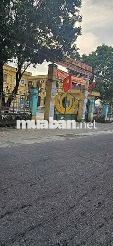 🎯 🎯Hoa Hậu 56m2 Ninh Cầm, Tân Dân, Đường Trục 6m - Thông ô Tô