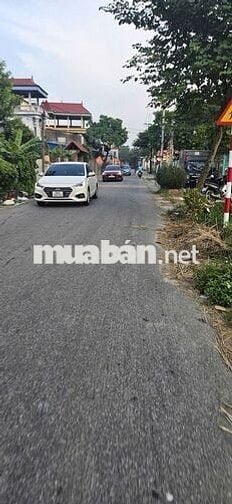 🎯 🎯Hoa Hậu 56m2 Ninh Cầm, Tân Dân, Đường Trục 6m - Thông ô Tô