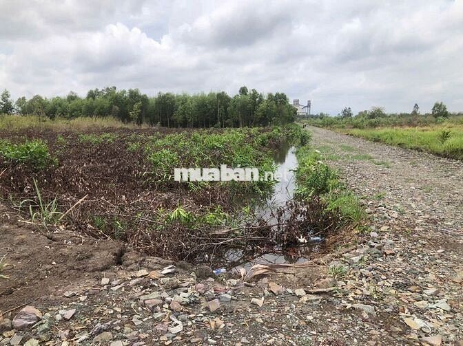 BÁN ĐẤT ĐẸP 1.993m² – MẶT TIỀN 68M – XÃ PHƯỚC KHÁNH, NHƠN TRẠCH ,ĐN.