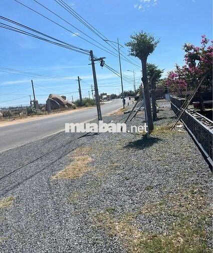 Bán 261m2 Đất + Sẵn Nhà Cấp 4, Có Sổ. KDC Khánh Tường Cách Biển 800m