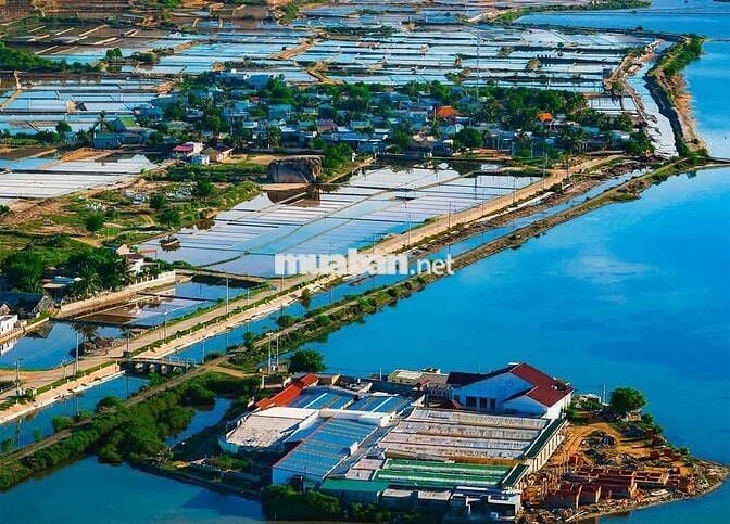 Bán 261m2 Đất + Sẵn Nhà Cấp 4, Có Sổ. KDC Khánh Tường Cách Biển 800m