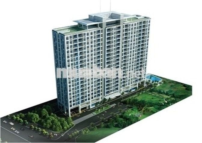 Bán CC Lotus (Hoa Sen) Quận 11 – 65m², 2PN 2WC, full NT, giá 3.7 tỉ