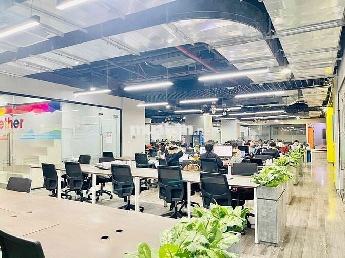 Văn phòng tại Hoàng Cầu 340m2 giá chỉ 50t rẻ nhất khu vực Đống Đa