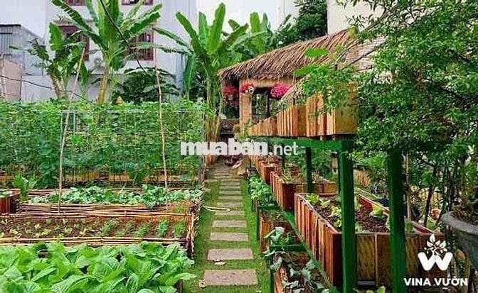 300m2 cần bán gấp tại Long Khánh