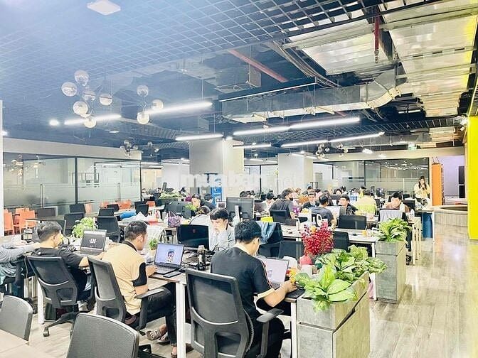 Văn phòng tại Hoàng Cầu 340m2 giá chỉ 50t rẻ nhất khu vực Đống Đa
