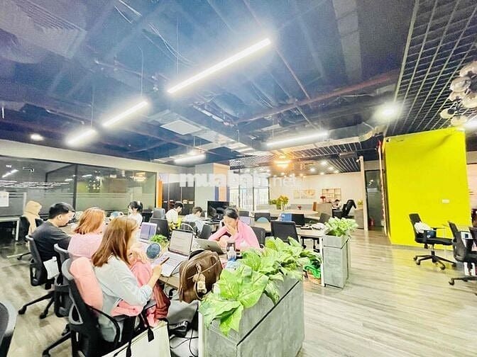 Văn phòng tại Hoàng Cầu 340m2 giá chỉ 50t rẻ nhất khu vực Đống Đa