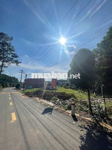 🔥 CHÍNH CHỦ BÁN GẤP ĐẤT MẶT TIỀN ĐA LỘC – BÌNH LỢI 🔥