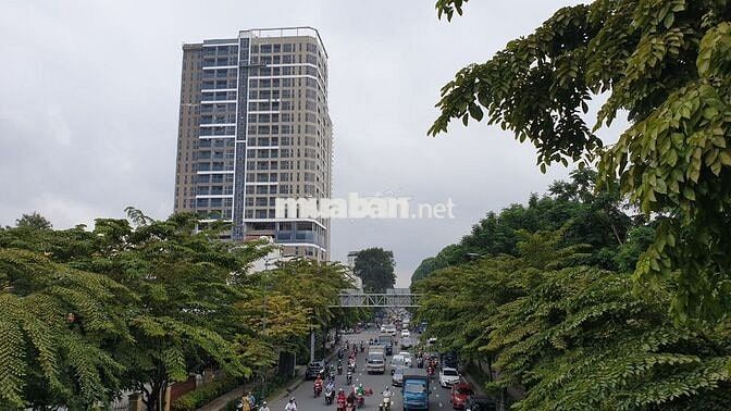 Anh bán nhà cấp 4 mặt tiền đường Lý Thái Tổ giá tốt