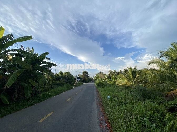 CHÍNH CHỦ - Bán đất HL71B (Lộ Cái Thia - cách QL1A 500m) - Cái Bè