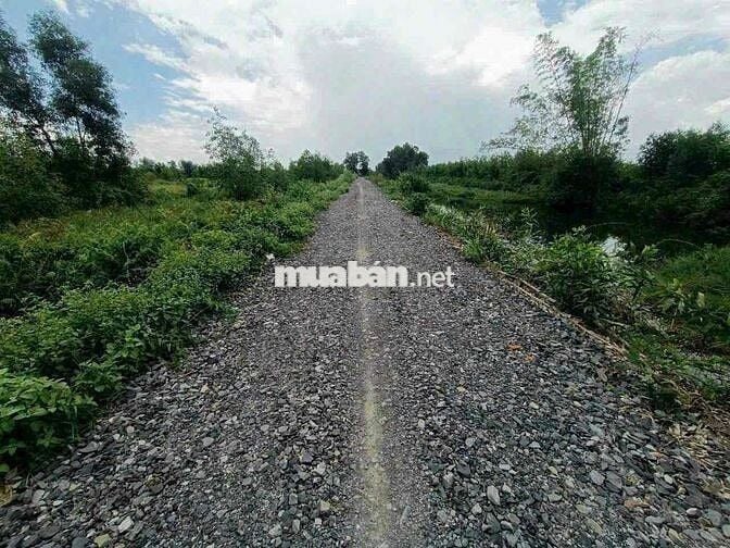 1000m Đất Vườn View Kênh Đường 10m chỉ 650tr