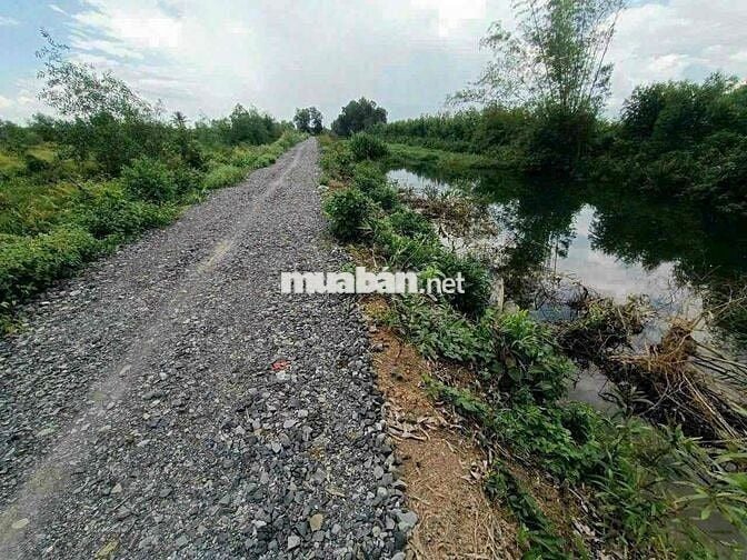 1000m Đất Vườn View Kênh Đường 10m chỉ 650tr