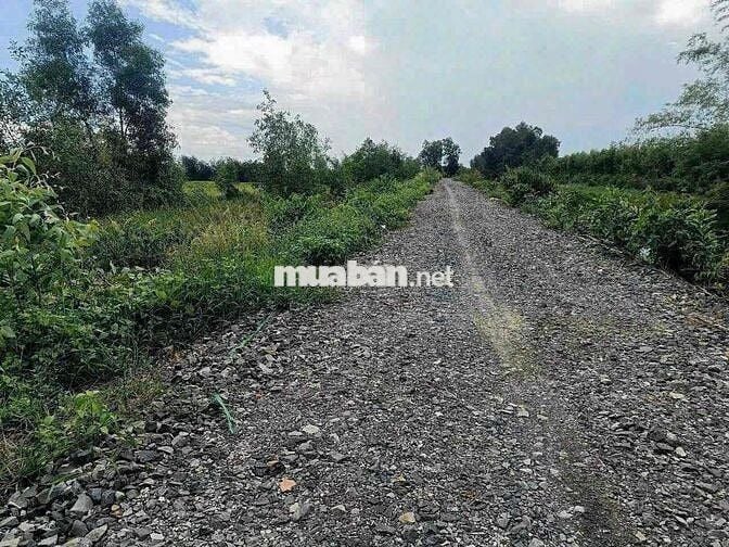 1000m Đất Vườn View Kênh Đường 10m chỉ 650tr