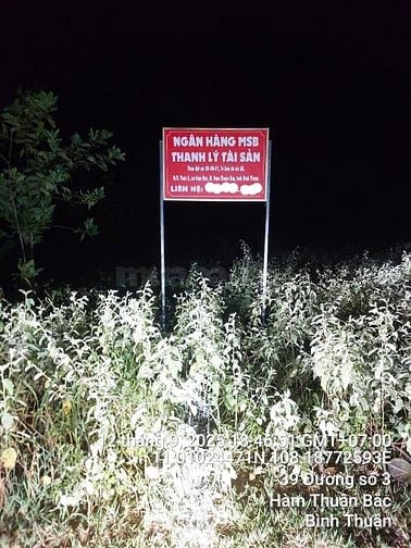 Công ty đấu giá hợp danh Sao Việt 