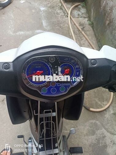 Xe SISRUS FI đời 2020 BST