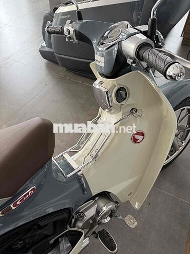 HONDA CUB C125 2024