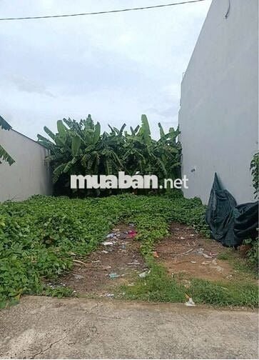 Chính chủ bán lô đất tập đoàn 4 tân kim 100m2 thổ cư giá 580 triệu SHR
