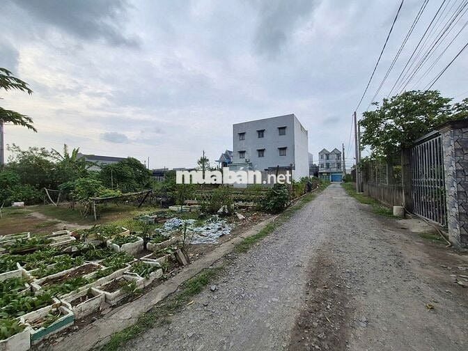 Bán đát MT Gần ql50, Tân Kim, Long An, 990 triệu, 80m2, SHR!