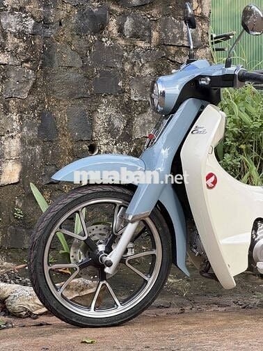HONDA CUB C125 2024