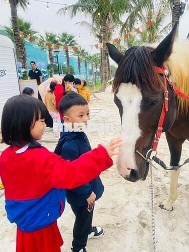 GIÁ SỐC NHIỆT CĂN STUDIO GIÁ 2.2 TỶ FULL ĐỒ TẠI VINHOMES OCEAN PARK