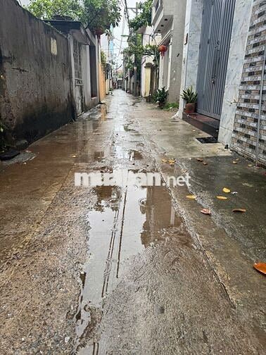 Bán gấp đất Liên Ninh ô tô ,ngõ thông ,diện tích rộng giá 4.9 tỷ