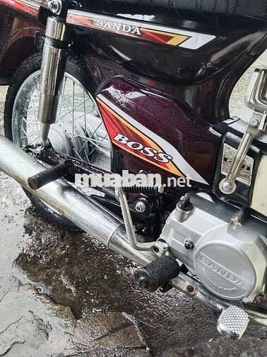 Xe kiển tphcm