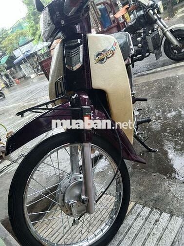 Xe kiển tphcm