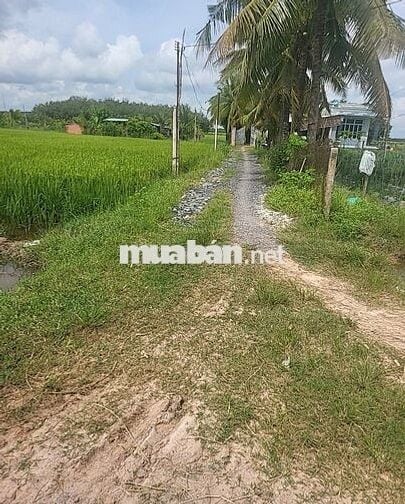 Mảnh vườn mẫu tâm huyết cần ra đi