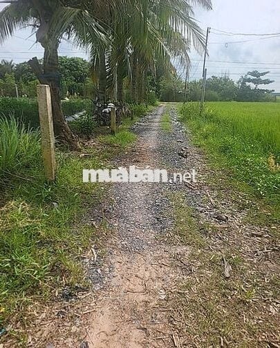 Mảnh vườn mẫu tâm huyết cần ra đi