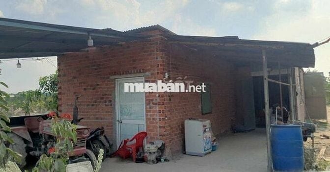 Mảnh vườn mẫu tâm huyết cần ra đi